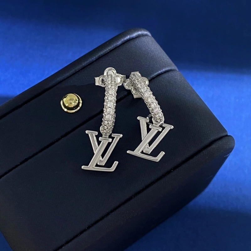 Affordable LX Earrings 310999