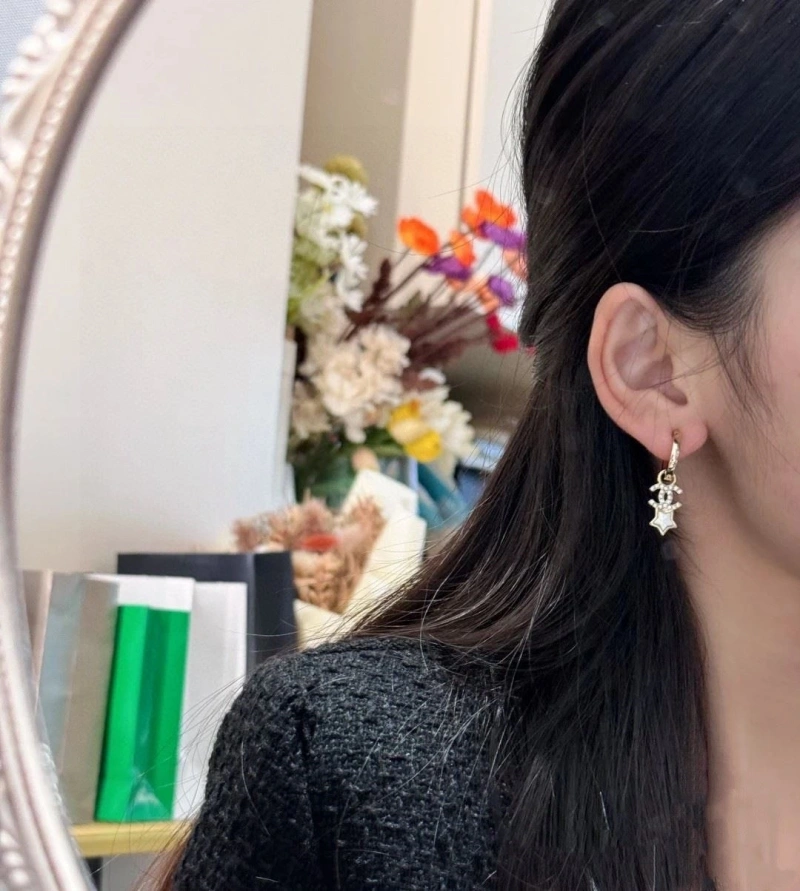 Chxnxl Earrings Vibrant 288703