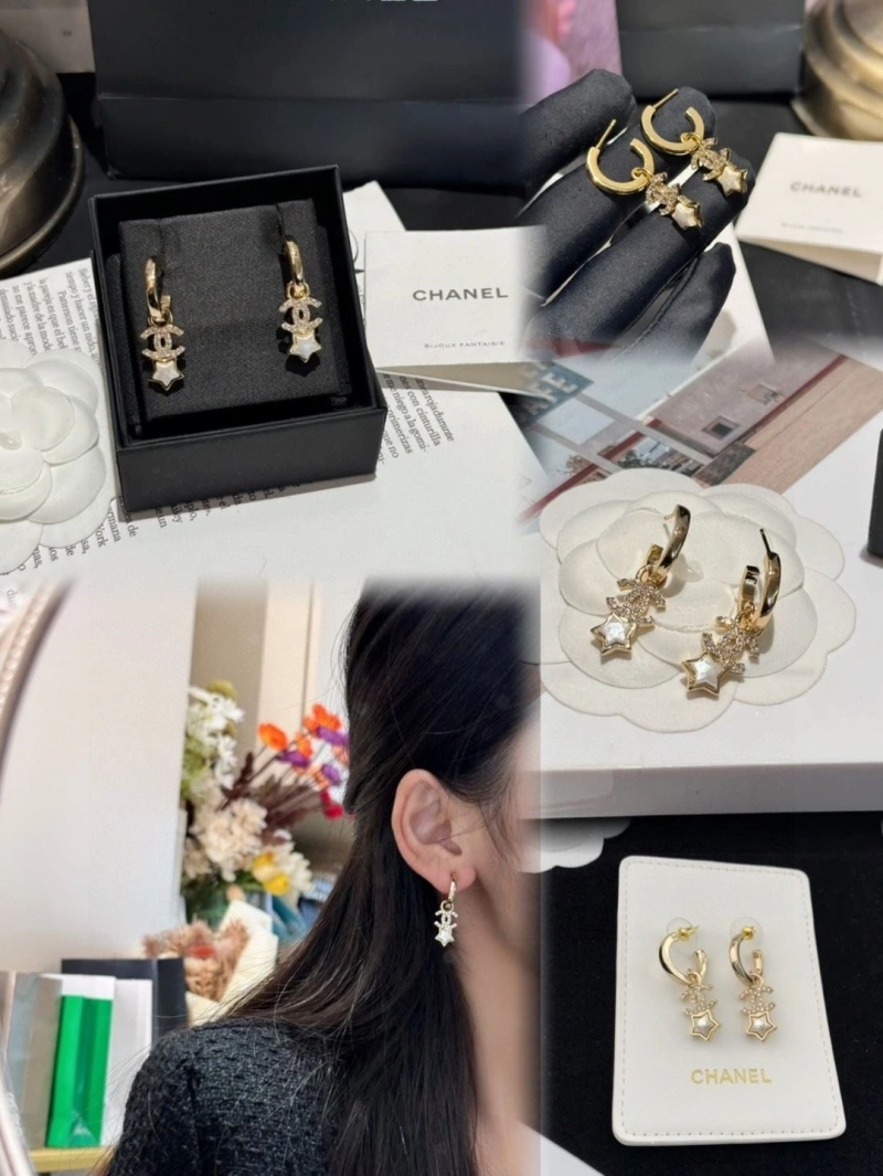 Chxnxl Earrings Vibrant 288703
