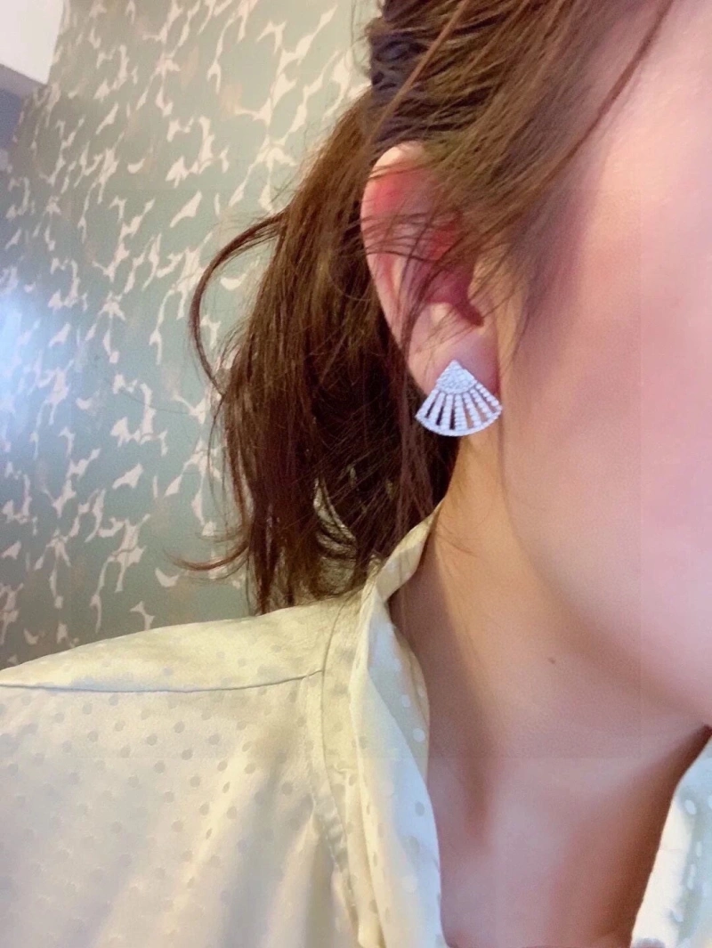 Axm Earrings Bold 281648