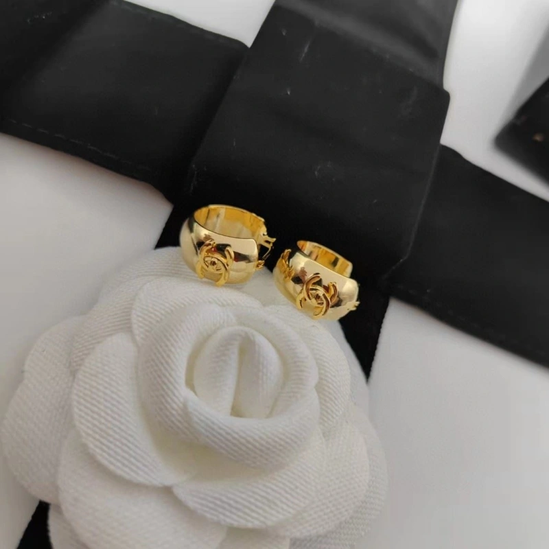 Chxnxl Earrings Popular 288679