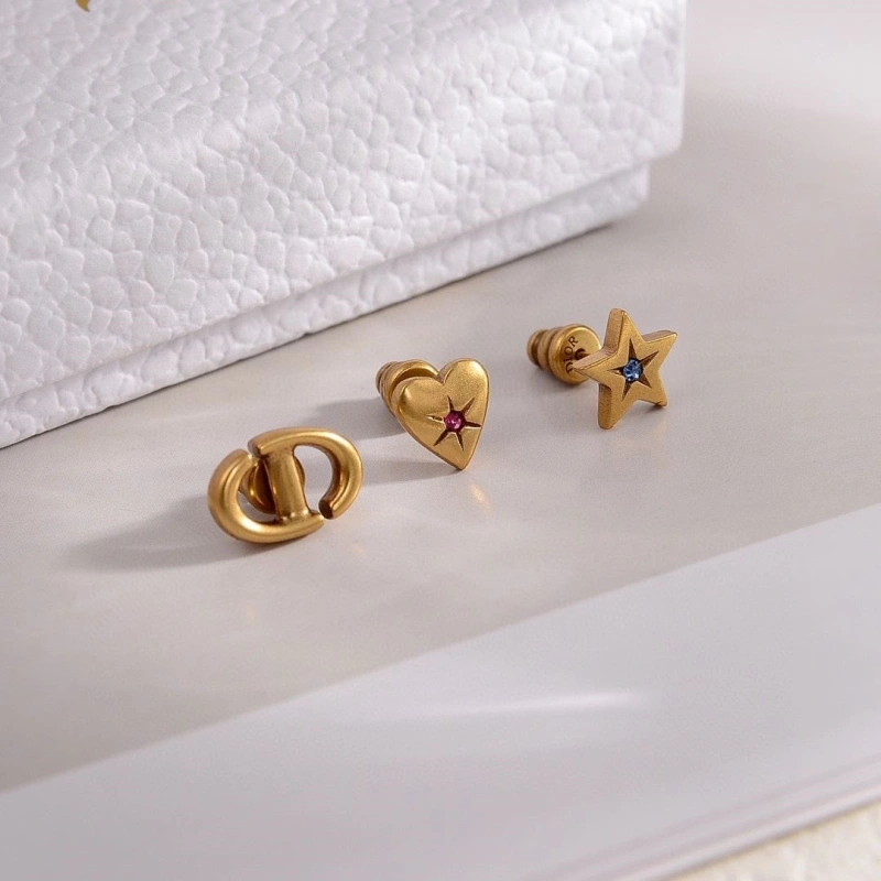 Christian Dxxr Earrings Affordable 294807