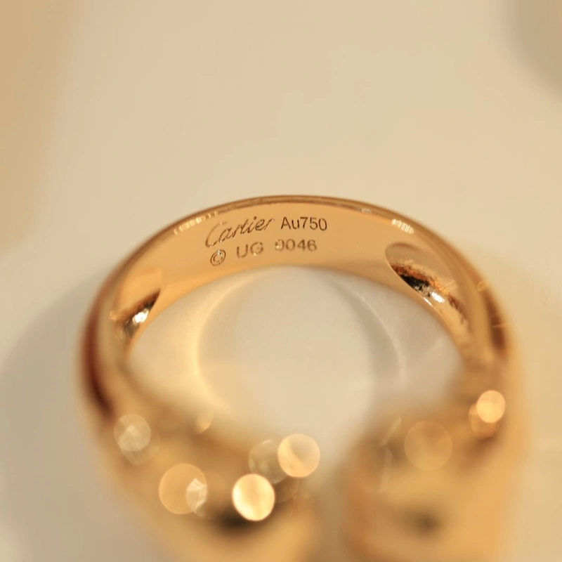 Cxrtxer Rings Stylish 283118