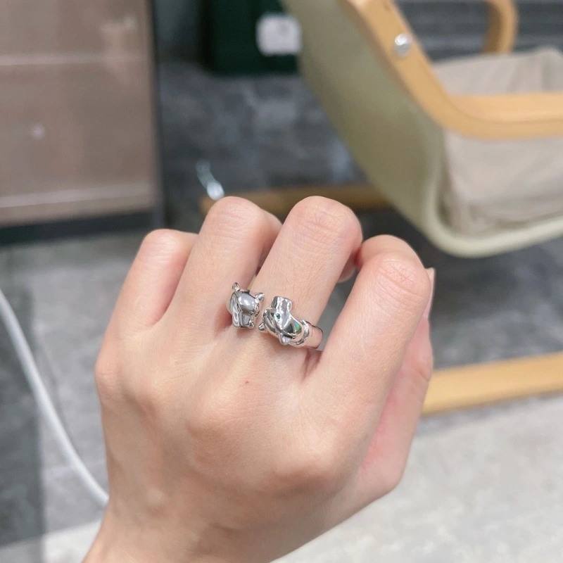Cxrtxer Rings Stylish 283118