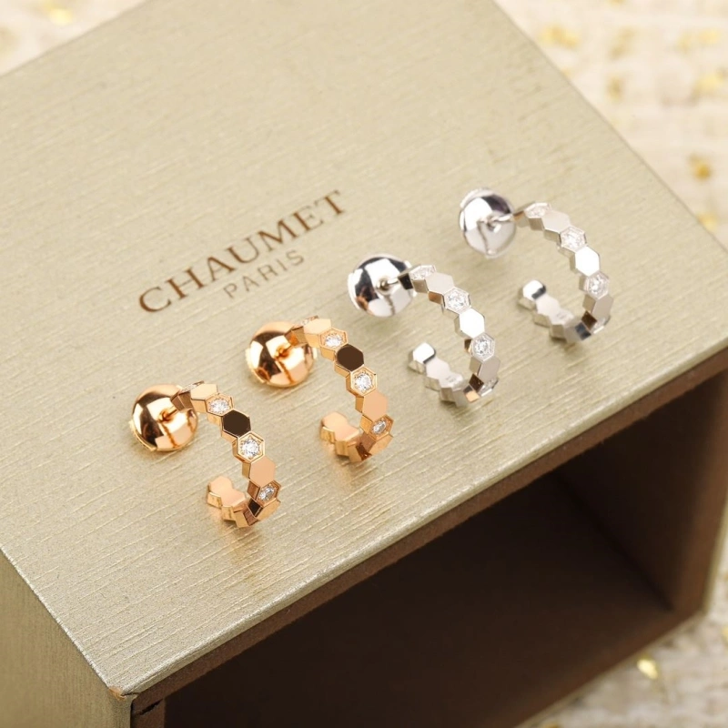 DailyWear LX Earrings 311013