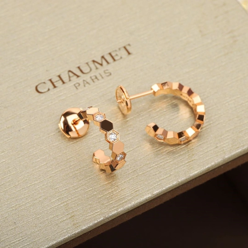 DailyWear LX Earrings 311013