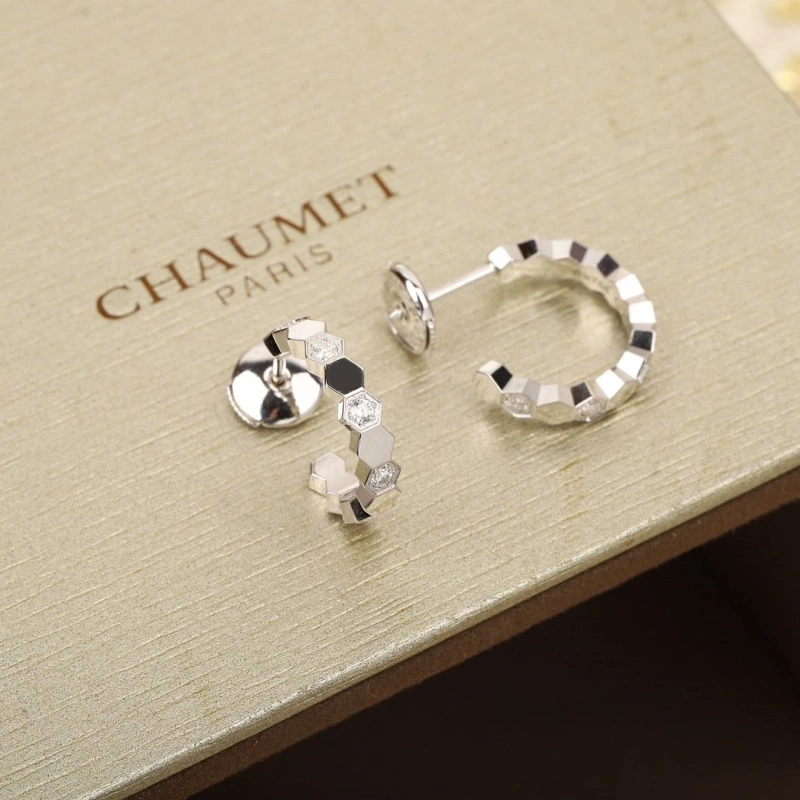 DailyWear LX Earrings 311013