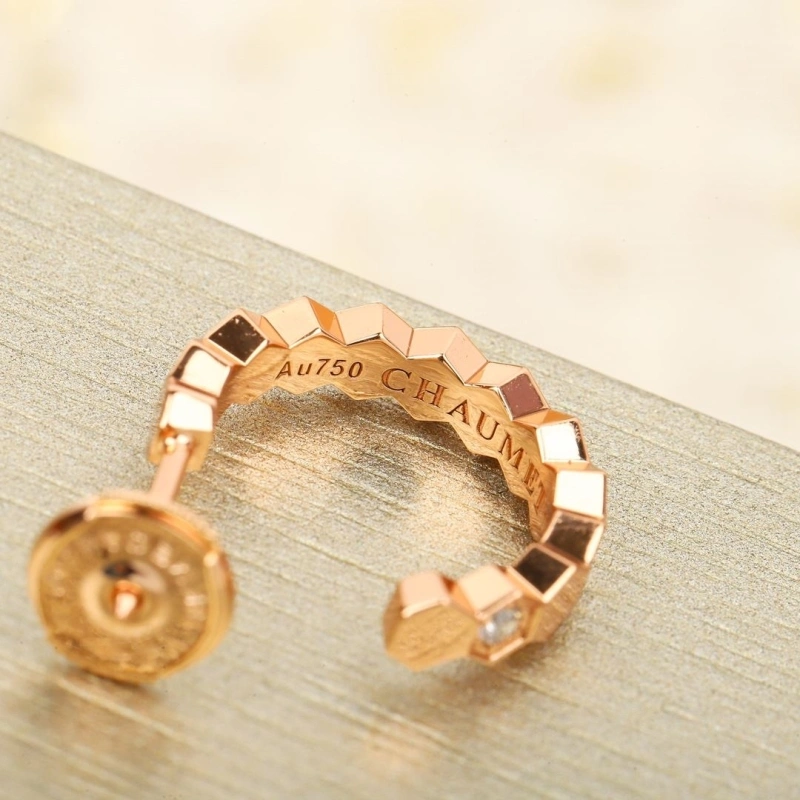 DailyWear LX Earrings 311013