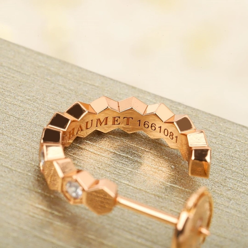 DailyWear LX Earrings 311013