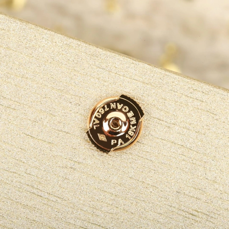 DailyWear LX Earrings 311013