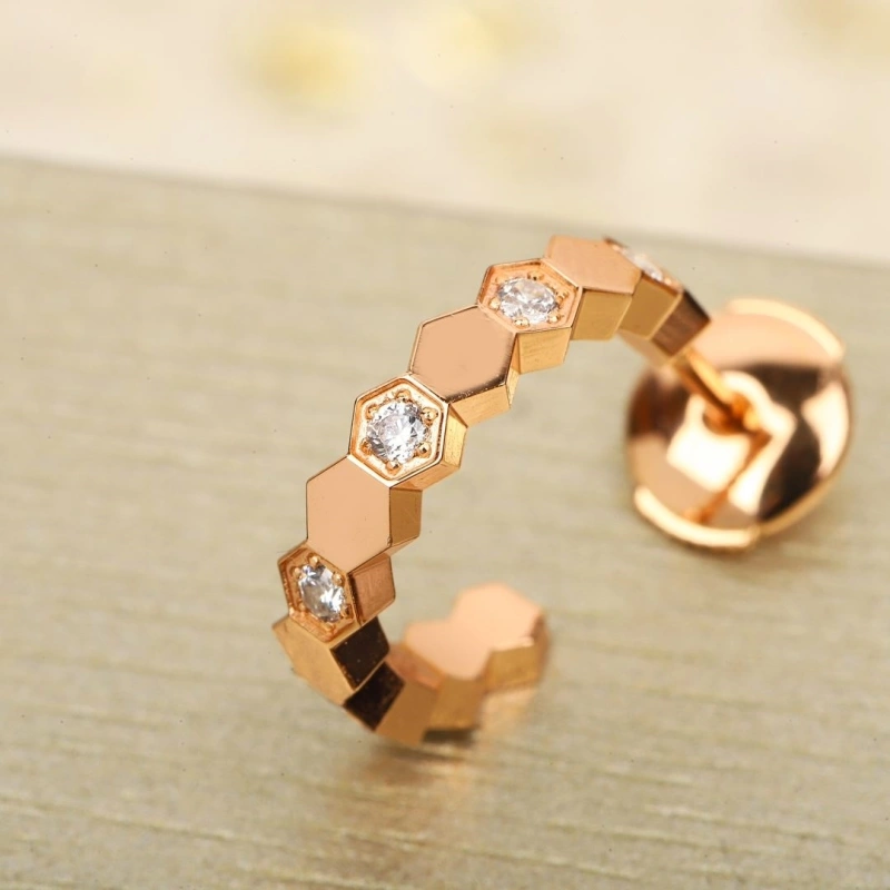 DailyWear LX Earrings 311013