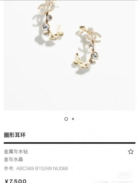 Lightweight Chxnxl Earrings 288670