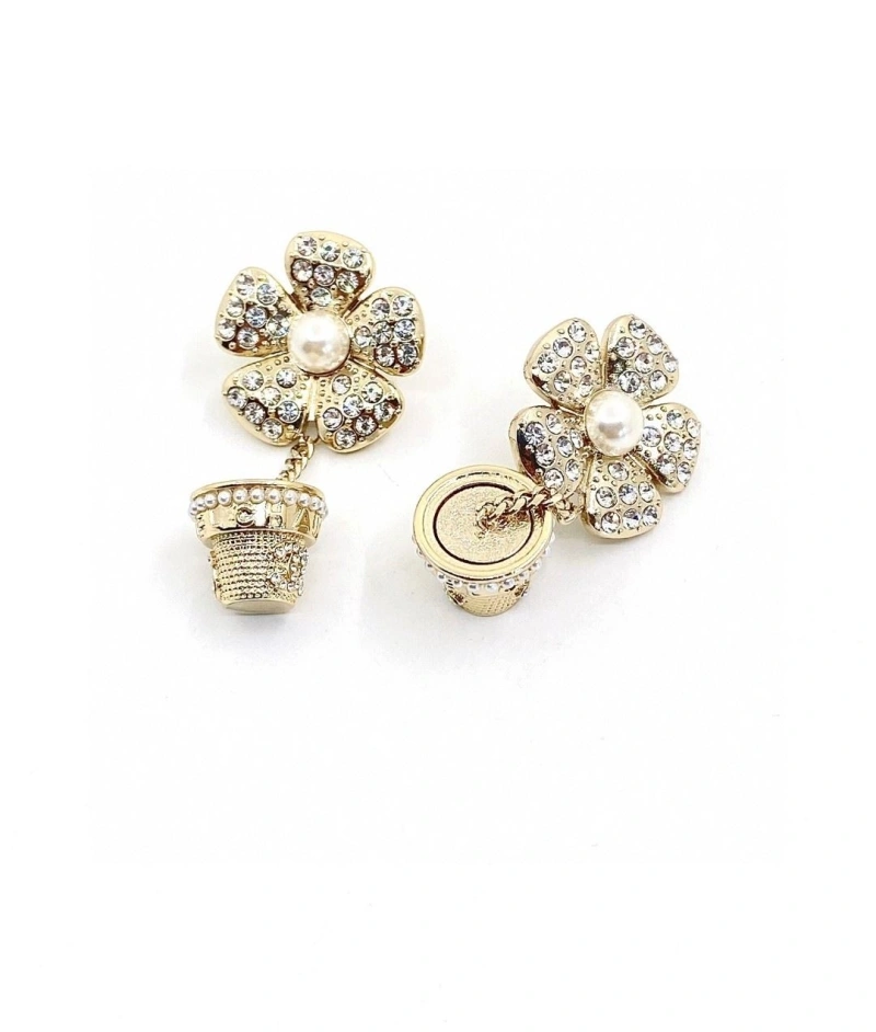 Chxnxl Earrings Affordable 288666