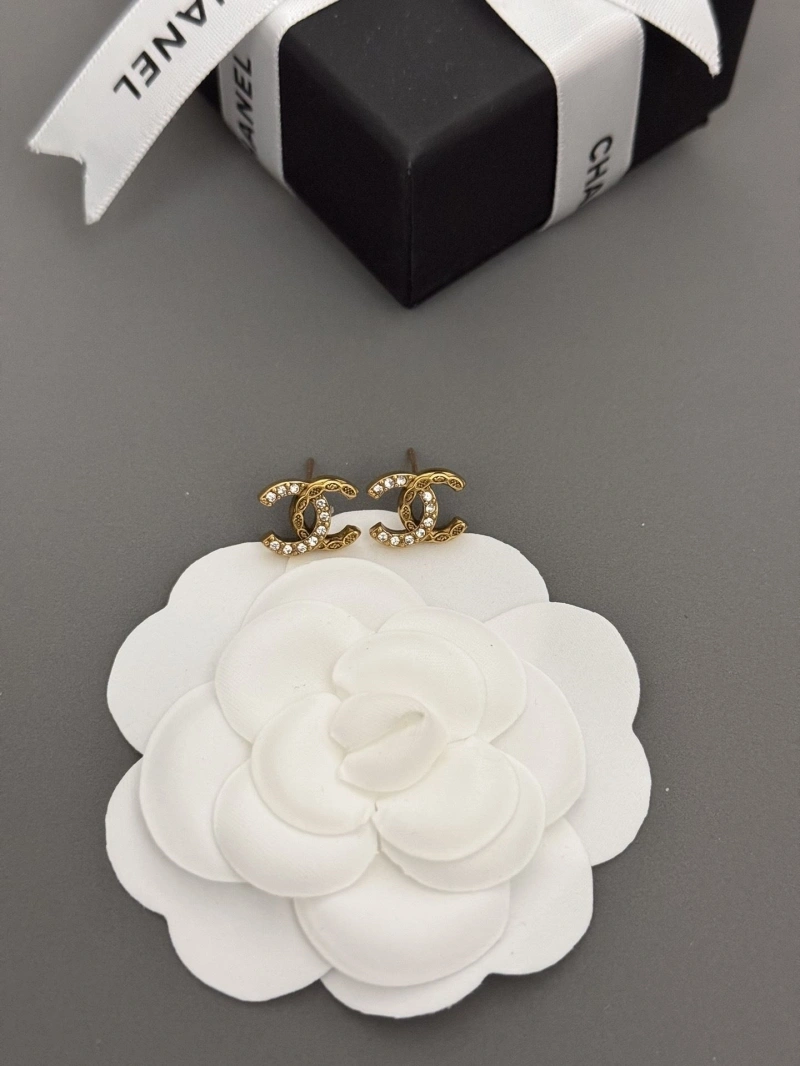Chxnxl Earrings Vibrant 288634
