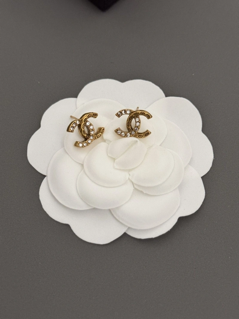 Chxnxl Earrings Vibrant 288634