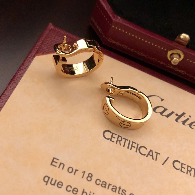 Cozy LX Earrings 311000
