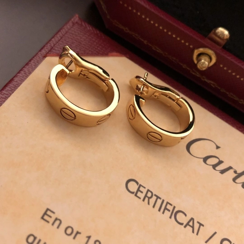 Cozy LX Earrings 311000