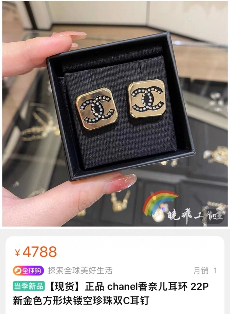 Chxnxl Earrings Functional 288627