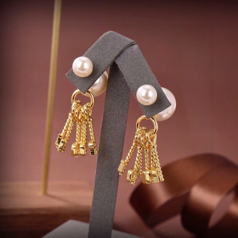 Christian Dxxr Earrings DailyWear 294796