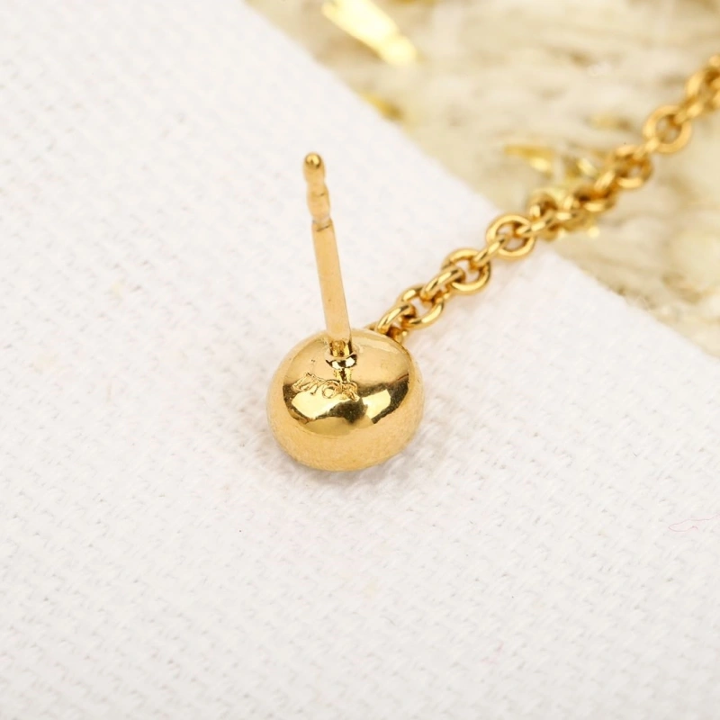 Christian Dxxr Earrings Fashionable 294794