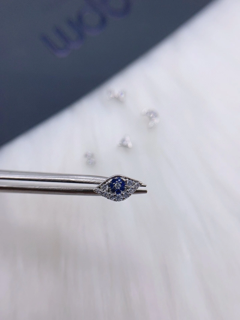 Axm Earrings Practical 281637