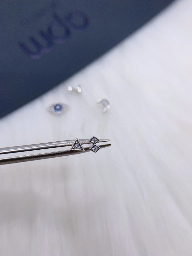 Axm Earrings Practical 281637