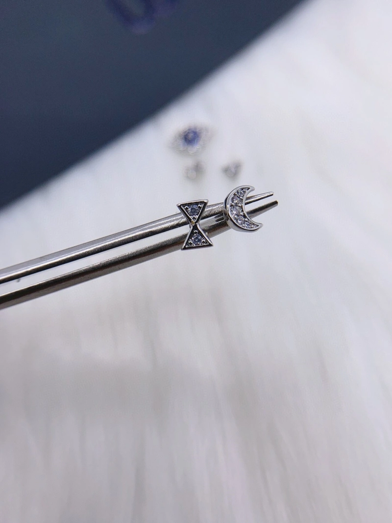 Axm Earrings Practical 281637