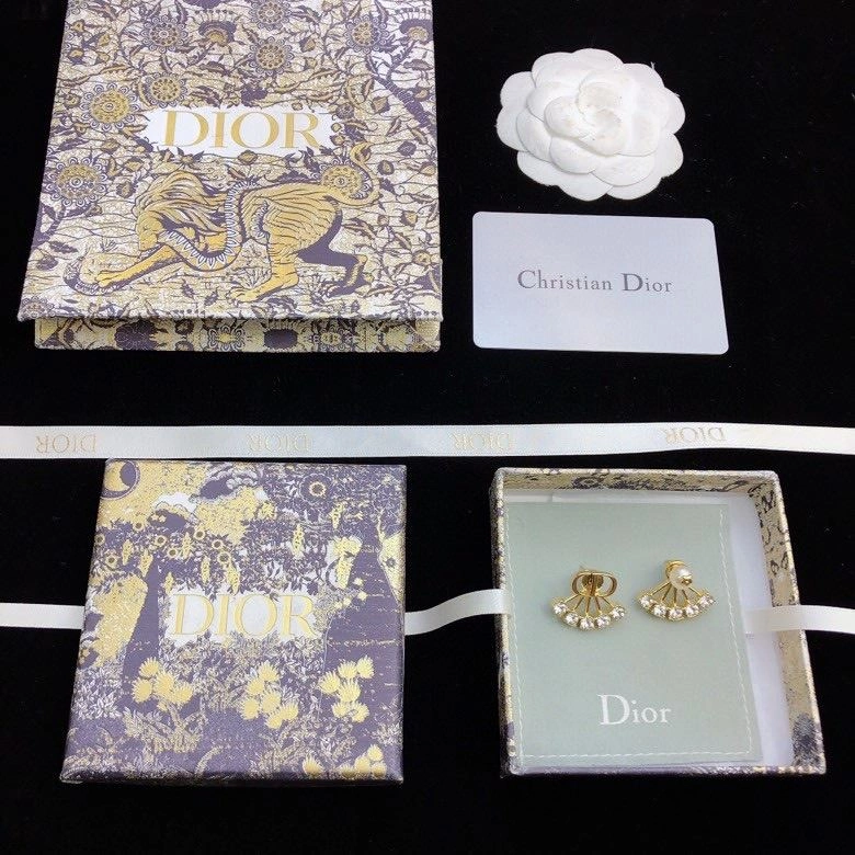 Christian Dxxr Earrings Affordable 294792