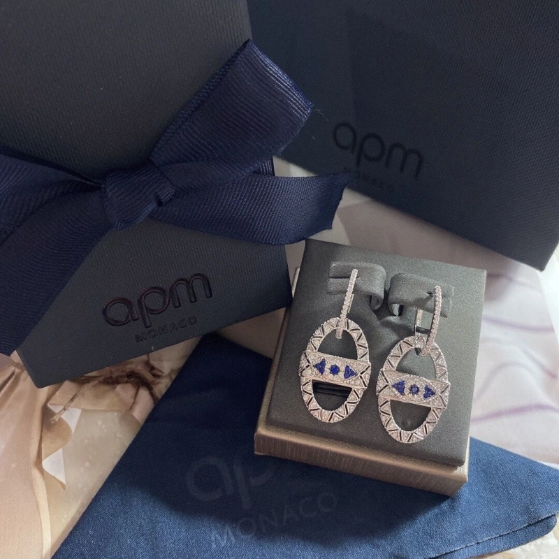 WellDesigned Axm Earrings 281628
