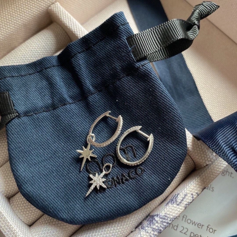 Axm Earrings Resilient 281627