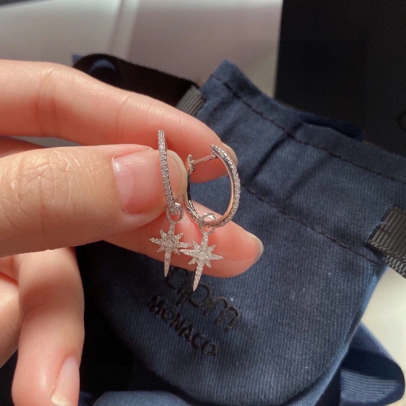 Axm Earrings Resilient 281627