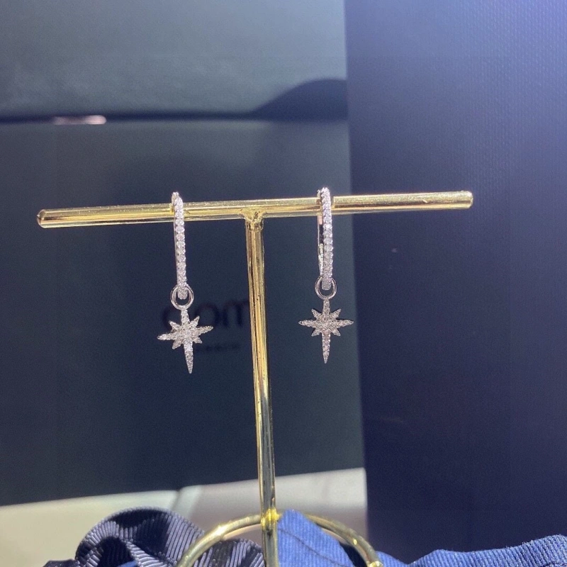 Axm Earrings Resilient 281627