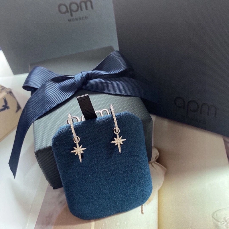 Axm Earrings Resilient 281627
