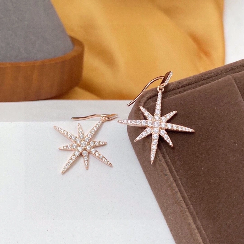 ModernLook Axm Earrings 281618