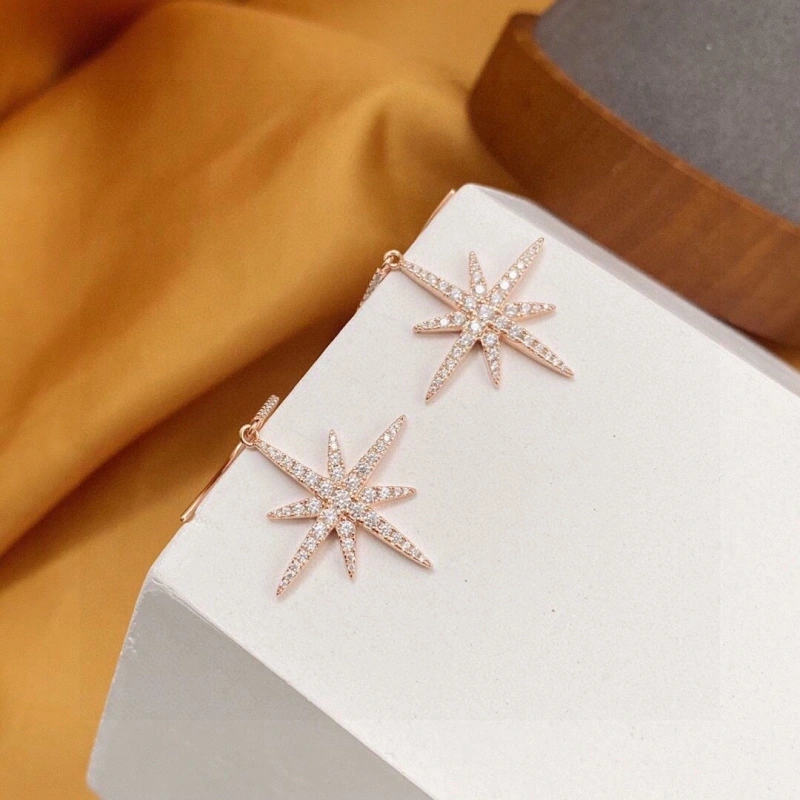 ModernLook Axm Earrings 281618
