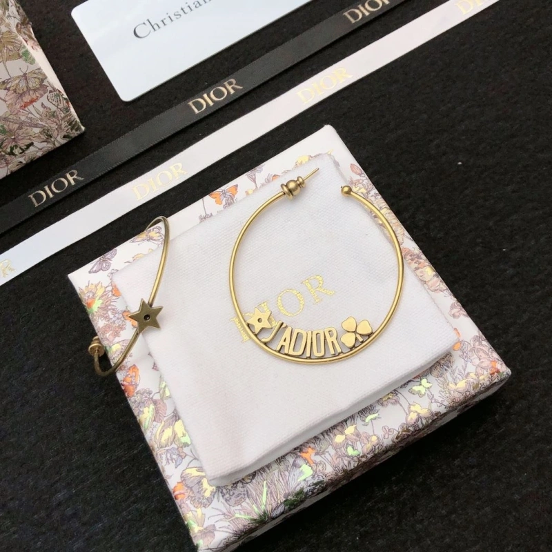 Christian Dxxr Earrings EasyMatch 294787