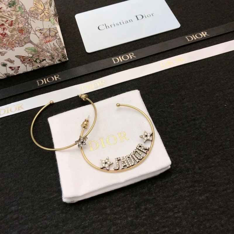 Christian Dxxr Earrings HighQuality 294783