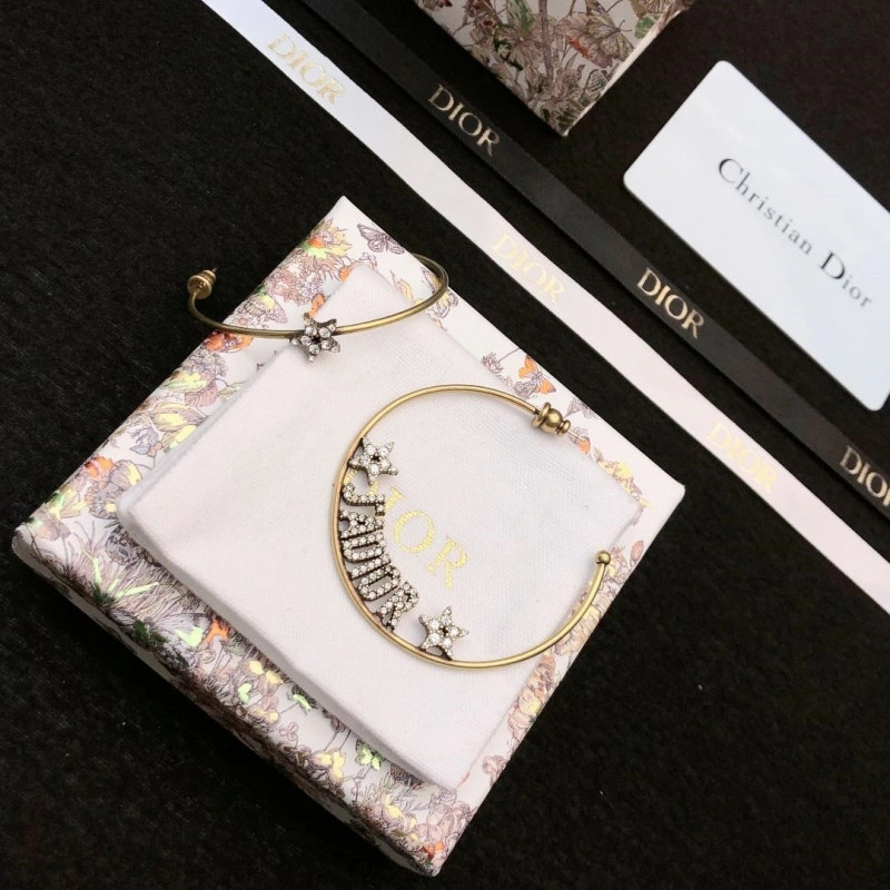 Christian Dxxr Earrings HighQuality 294783