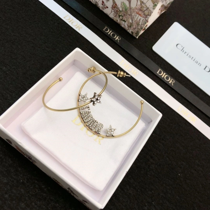 Christian Dxxr Earrings HighQuality 294783