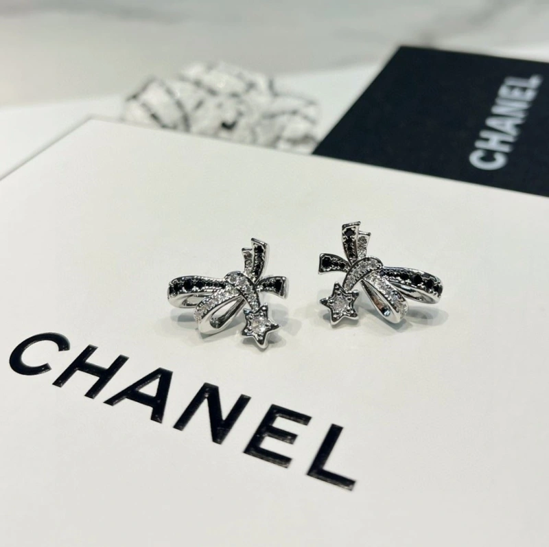 GoAnywhere Chxnxl Earrings 288526