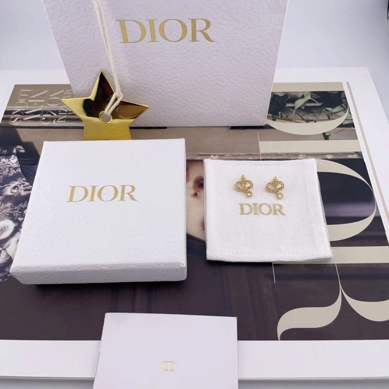 Christian Dxxr Earrings Comfortable 294772