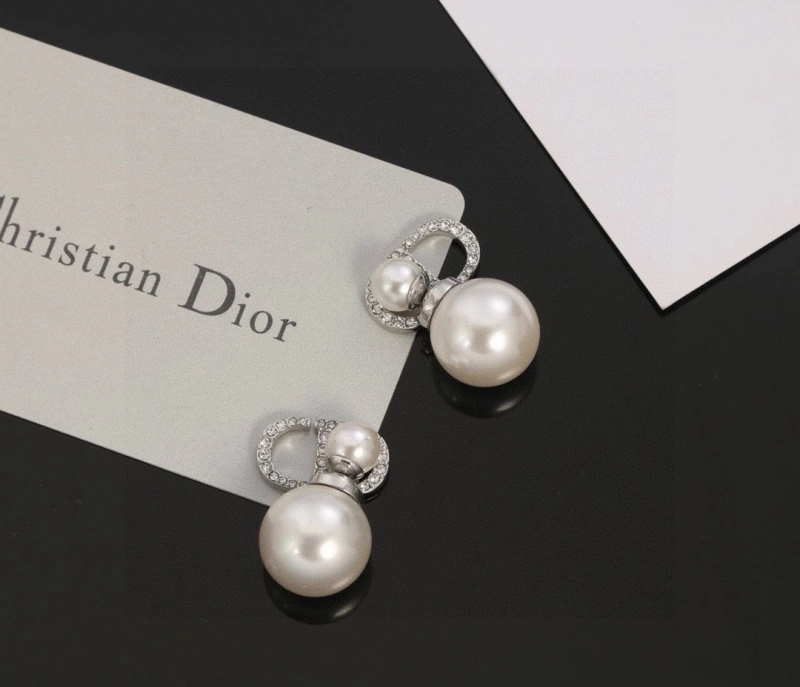 Christian Dxxr Earrings Stylish 294770