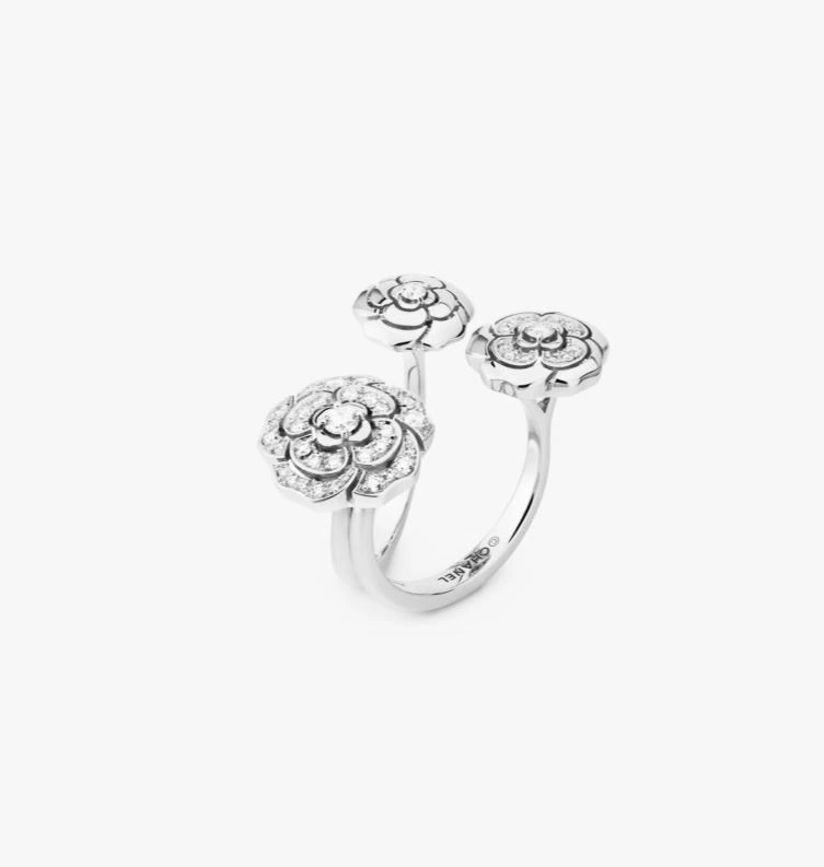 Efficient Chxnxl Rings 287956