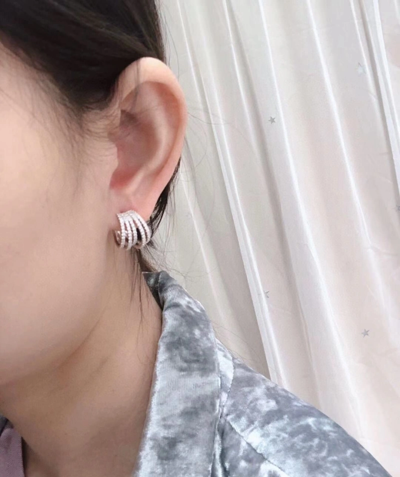 Flexible Axm Earrings 281606