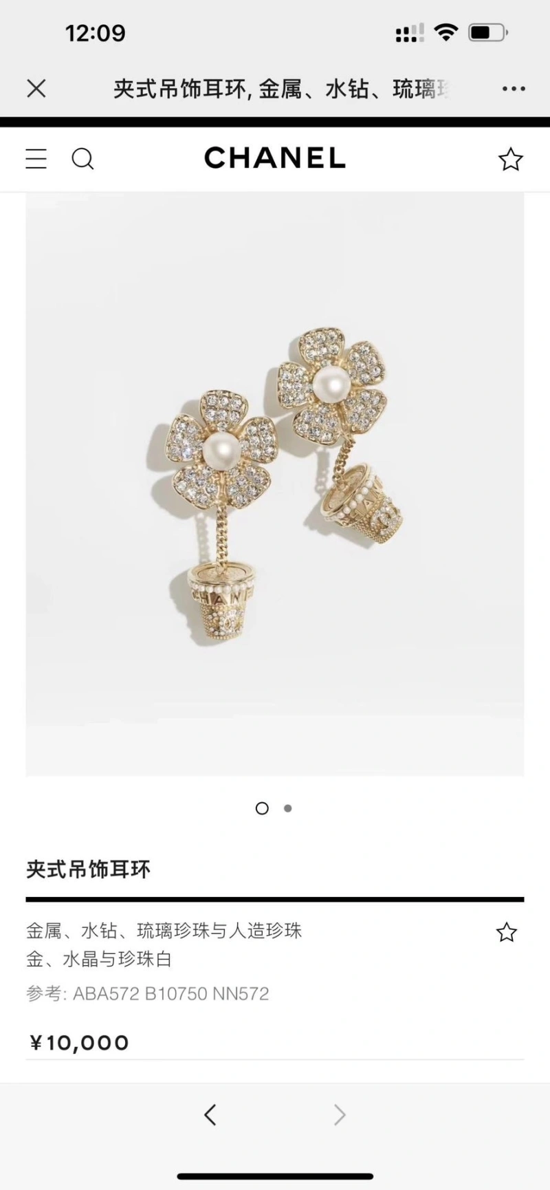 Chxnxl Earrings Timeless 288363