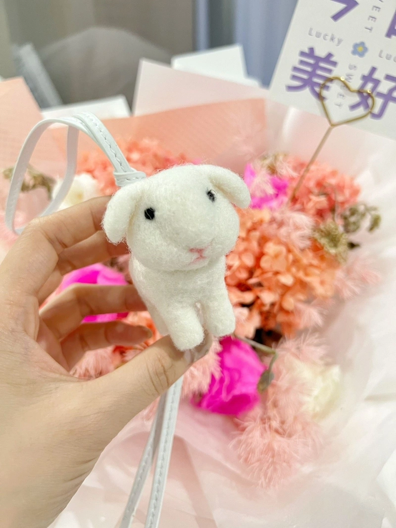LXXWE Soft 271238