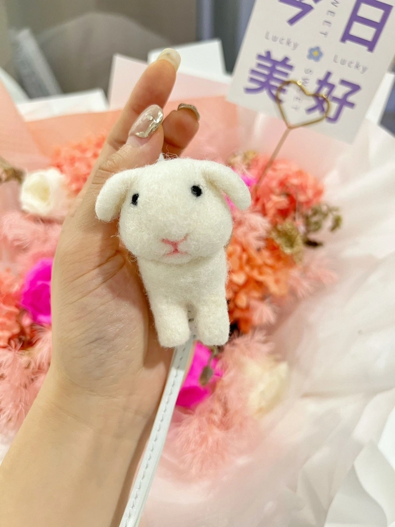 LXXWE Soft 271238