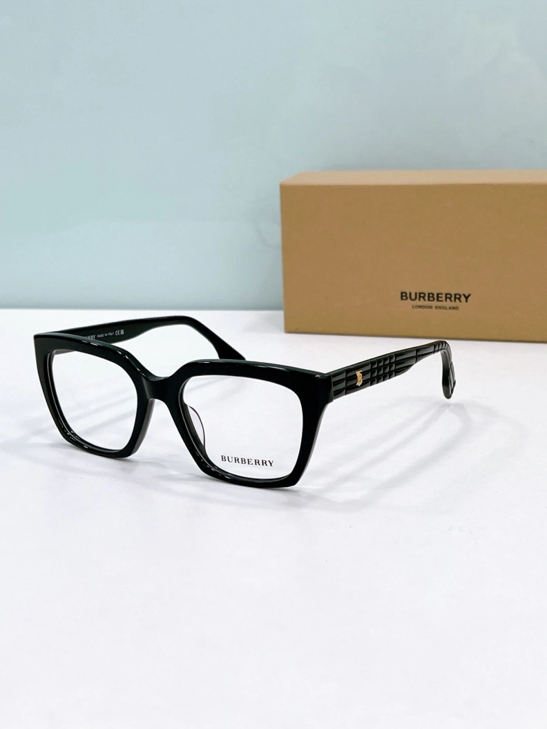 Bxrbxrry Sunglasses Resilient 250041