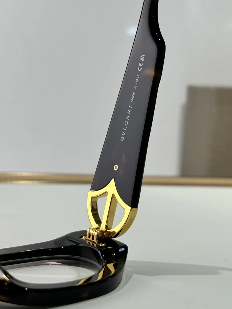 Bxttxga Vxnxta Sunglasses Trendsetting 250074