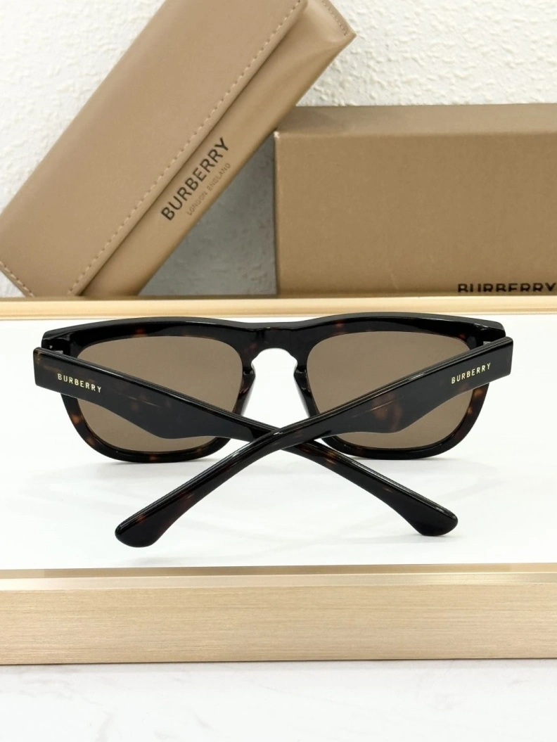 Bxrbxrry Sunglasses AllSeason 250030